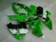 2000-2002 Green Black Kawasaki ZX6R Motorbike Fairing Canada