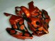 ABS 2004-2005 Brown Black Honda CBR1000RR Motorcylce Fairings Canada ABS 2004-2005 Brown Black Honda CBR1000RR Motorcylce Fairings Canada