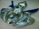 ABS 2006-2007 Blue Flame Silver Honda CBR1000RR Motorcycle Fairing Kits Canada ABS 2006-2007 Blue Flame Silver Honda CBR1000RR Motorcycle Fairing Kits Canada