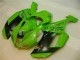 ABS 2007-2008 Green Black Dunlop Kawasaki ZX6R Motorbike Fairing Kits Canada ABS 2007-2008 Green Black Dunlop Kawasaki ZX6R Motorbike Fairing Kits Canada